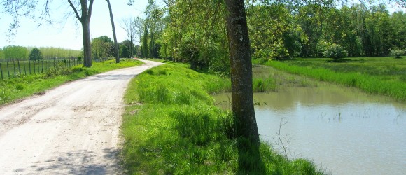 San_Rossore