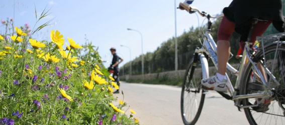 tour-bicicletta